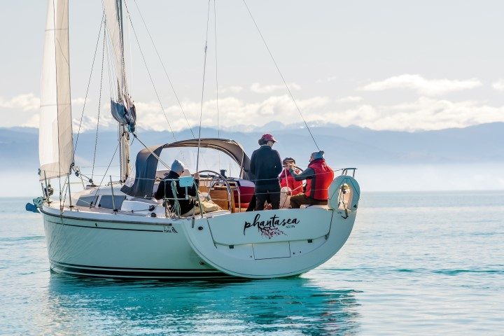 Hanse_315_DSC7632_cmyk (Small)