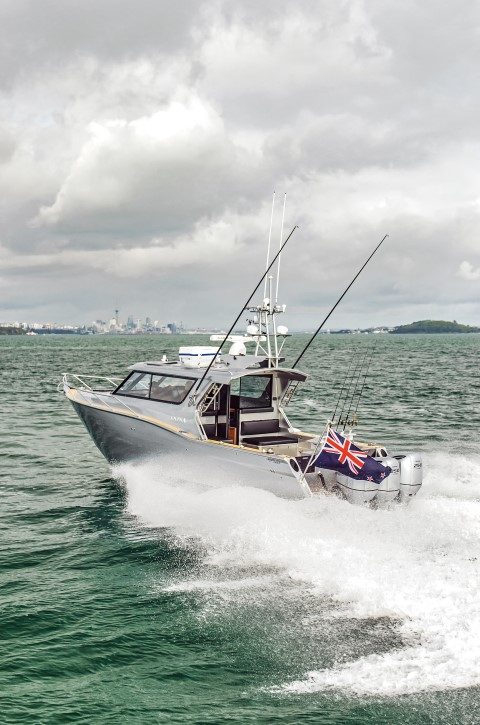 Vedo Marine Photography-2863 redo_cmyk (Small)