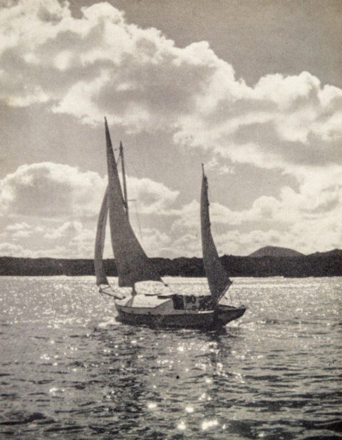 Wylo (Small)