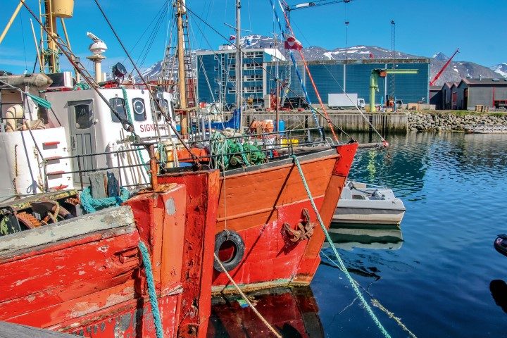 fishing boats nuuk (Small)